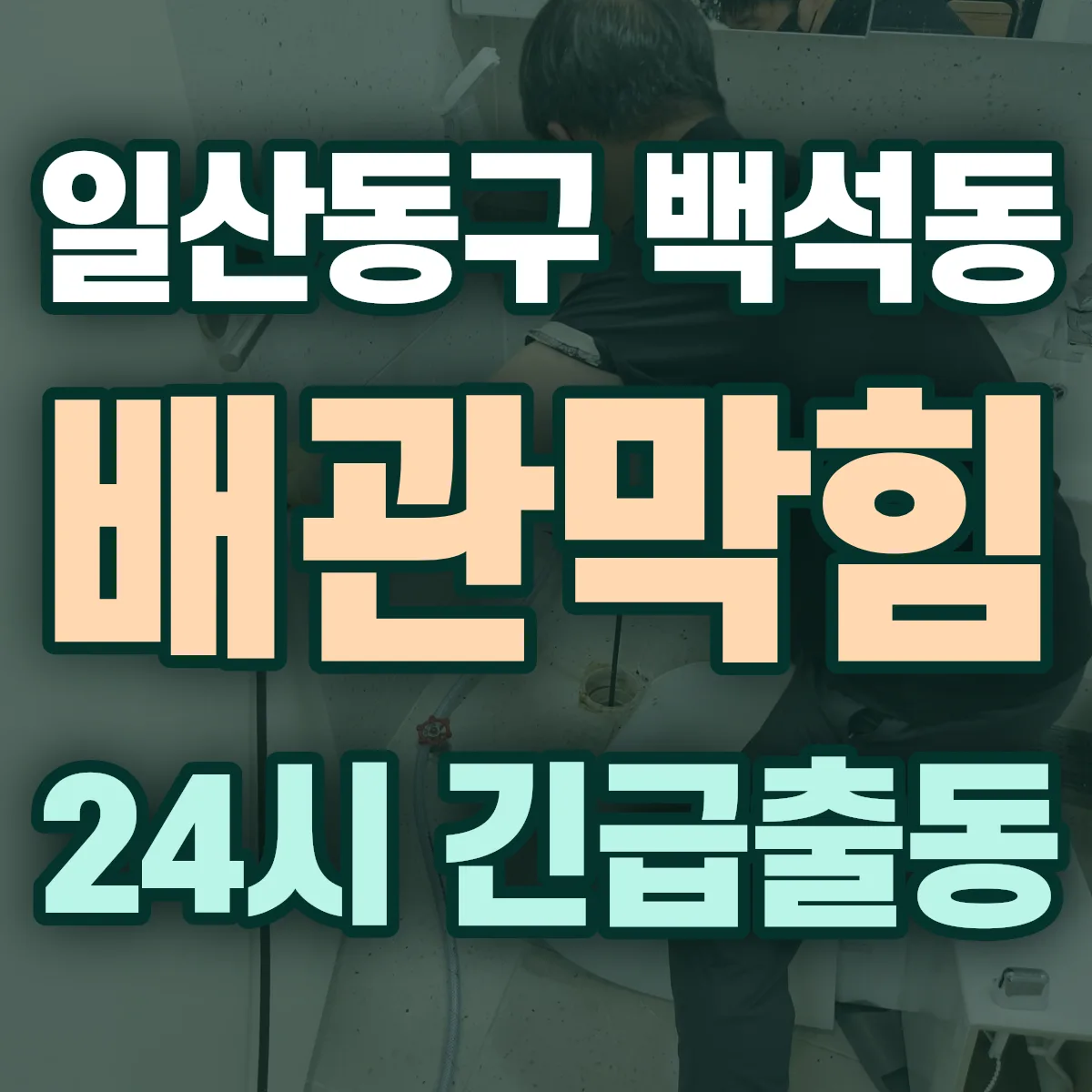고양시 일산동구 백석동 배관막힘 출동 상담