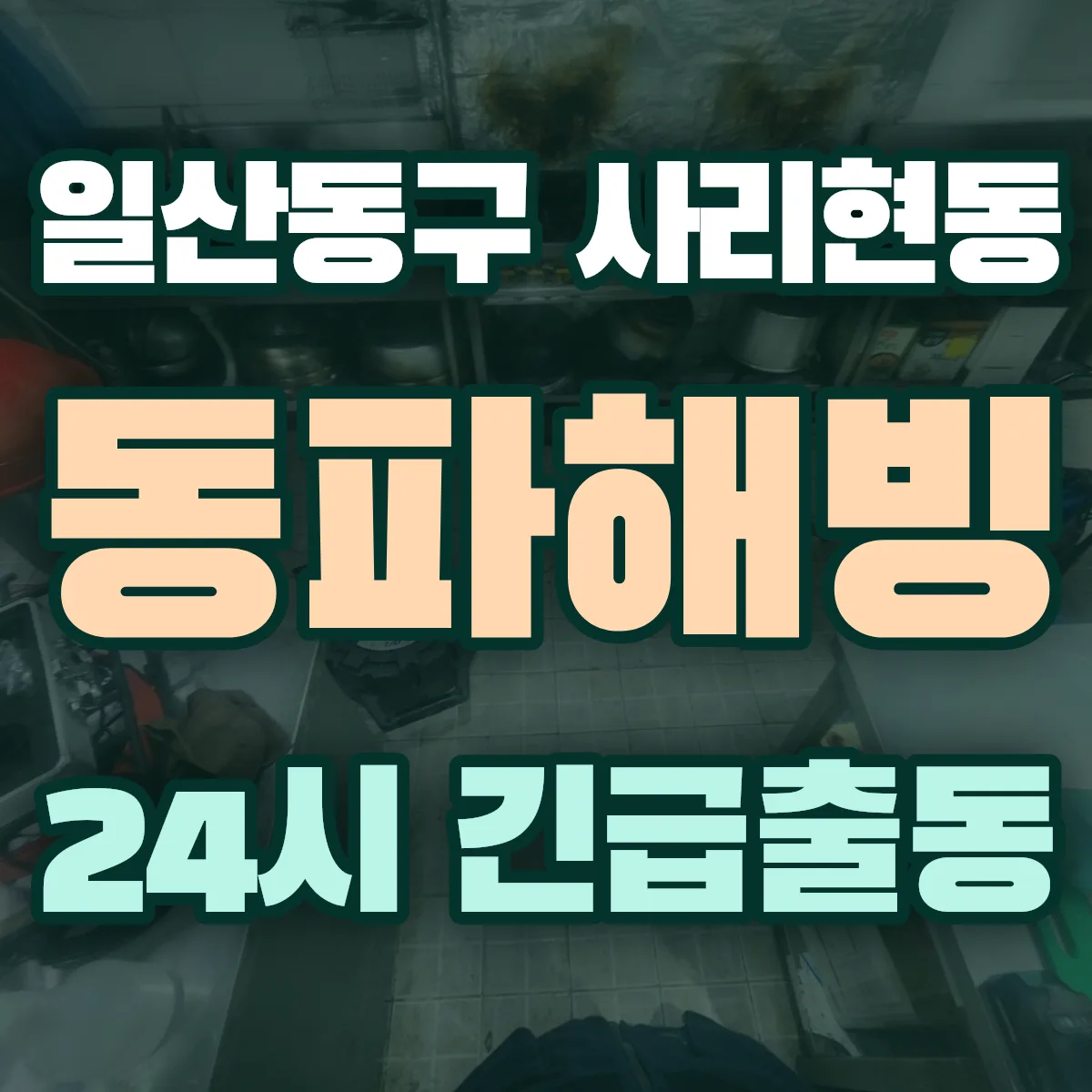 고양시 일산동구 사리현동 동파해빙 출동 상담
