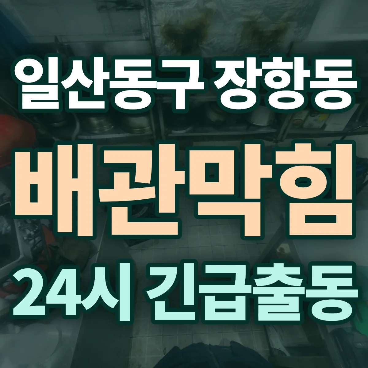 고양시 일산동구 장항동 배관막힘 출동 상담