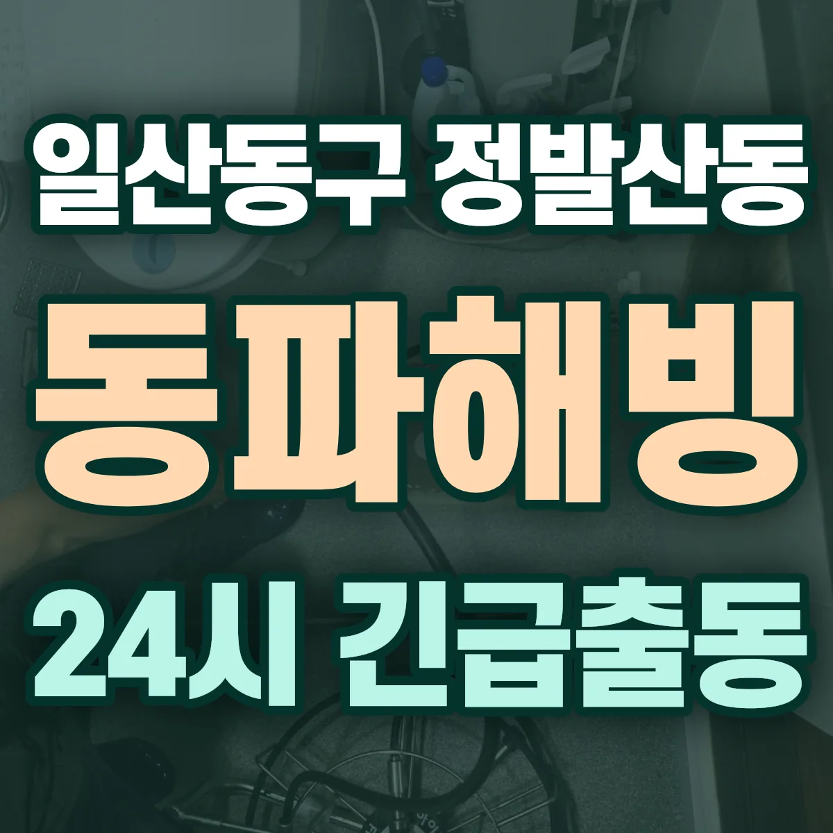 고양시 일산동구 정발산동 동파해빙 출동 상담