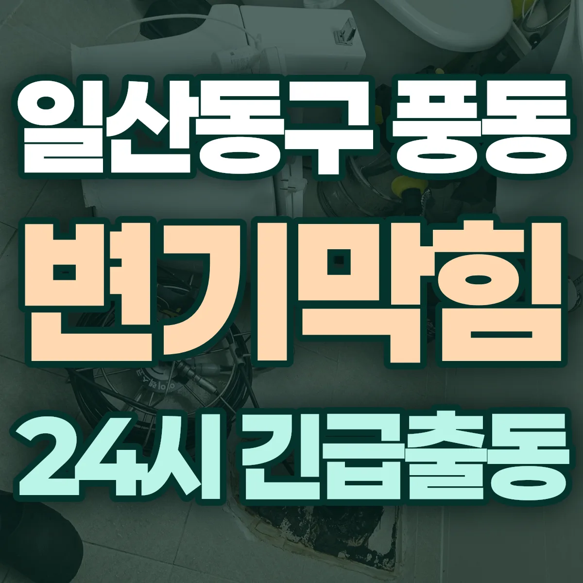 고양시 일산동구 풍동 변기막힘 출동 상담