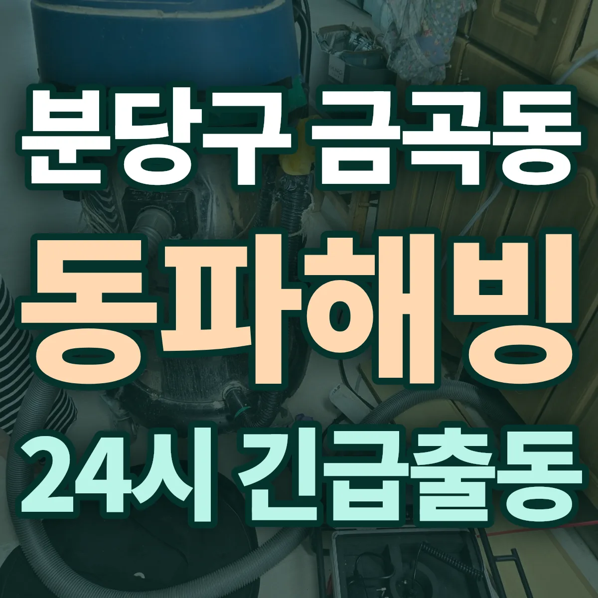 성남시 분당구 금곡동 동파해빙 출동 상담