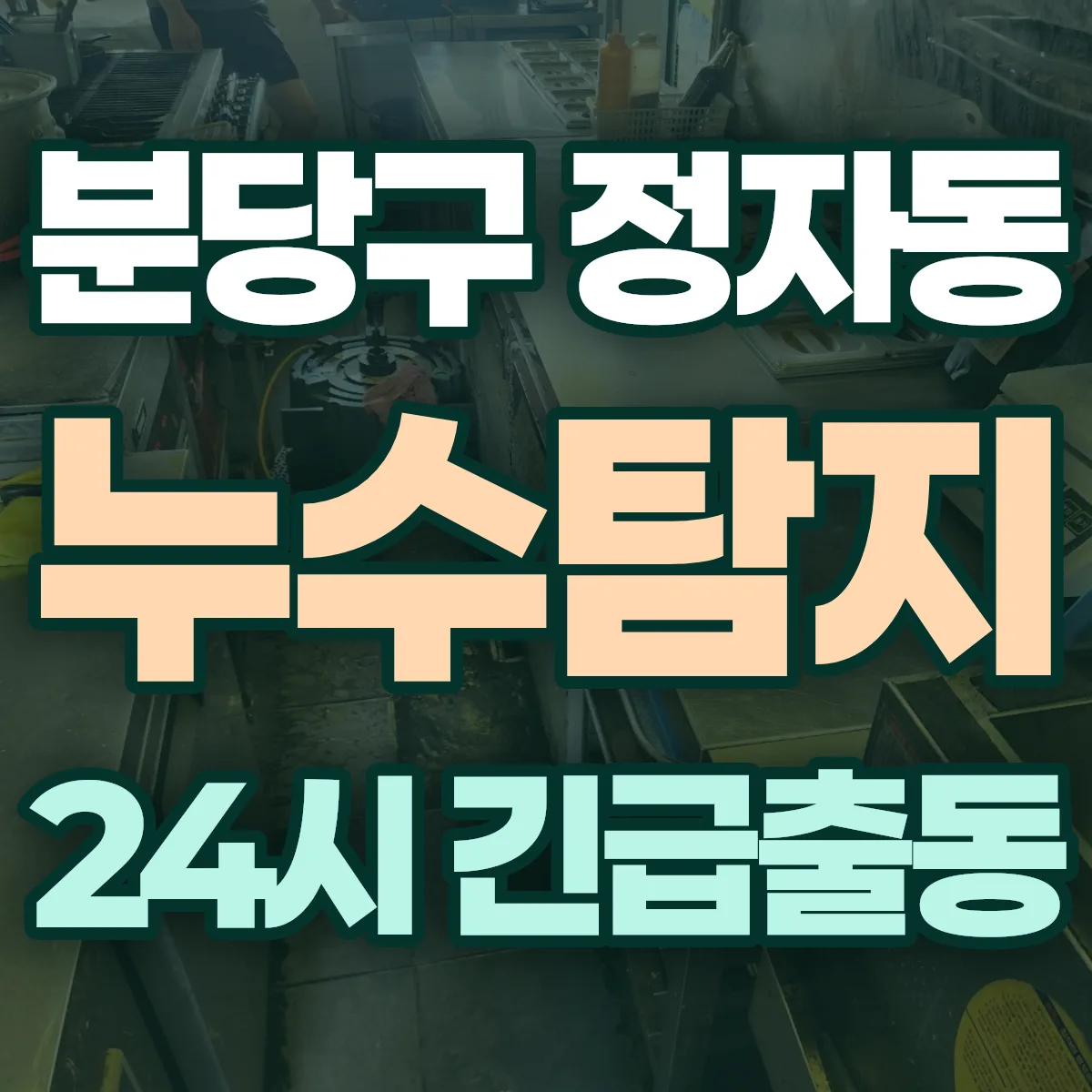 성남시 분당구 정자동 누수탐지 출동 상담