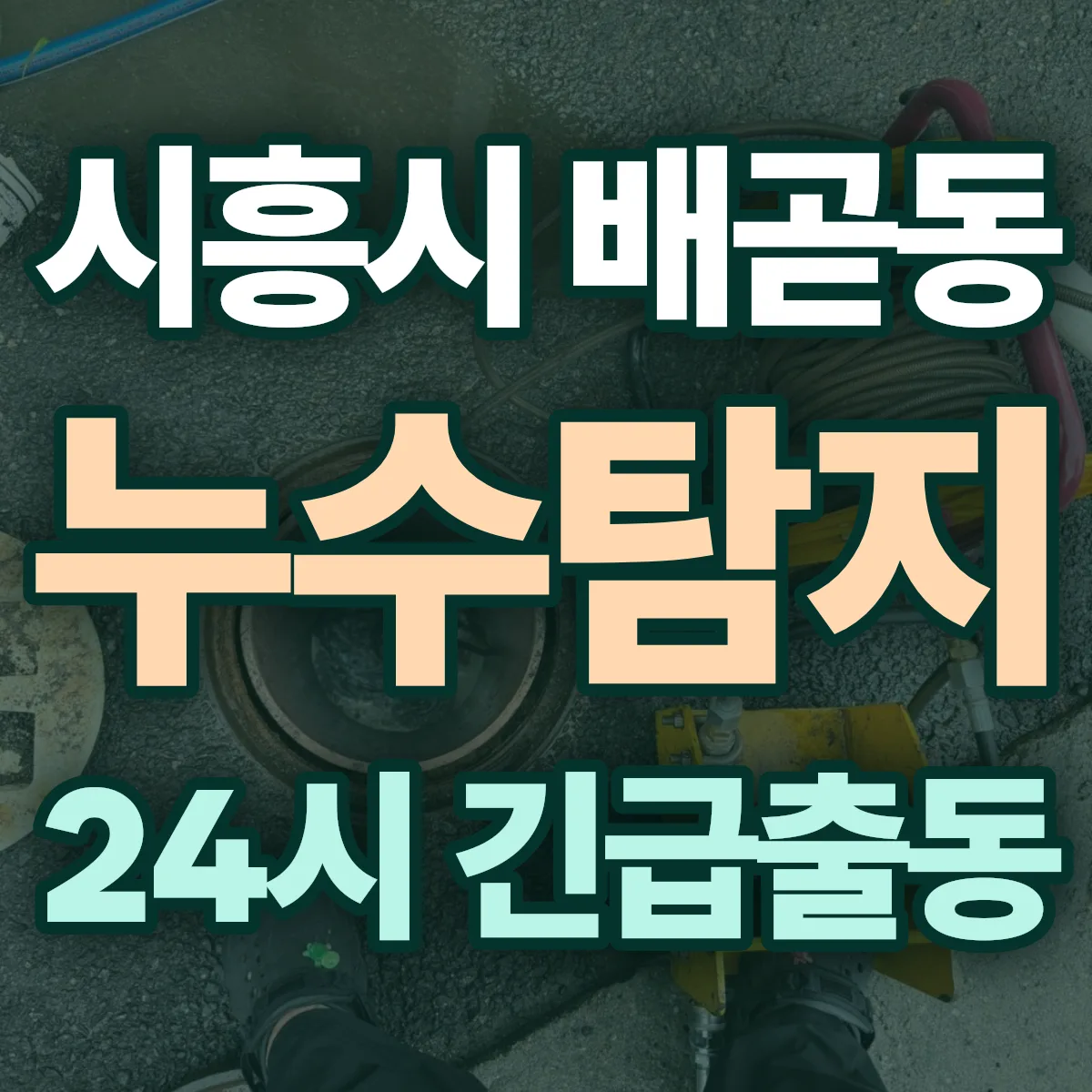 시흥시 배곧동 누수탐지 출동 상담