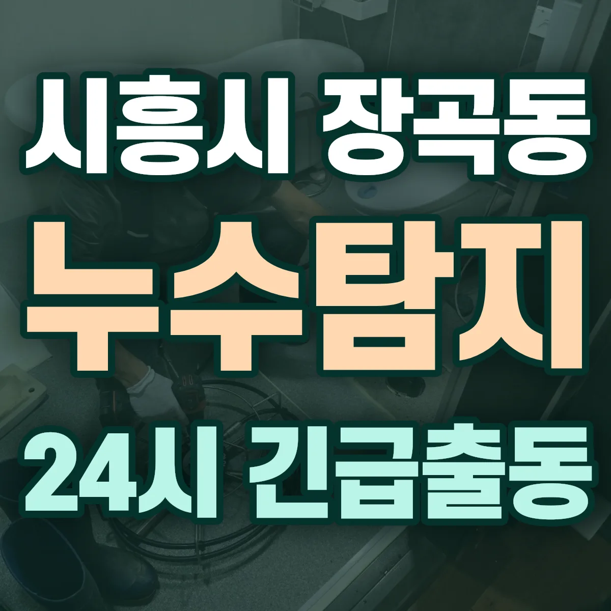 시흥시 장곡동 누수탐지 출동 상담