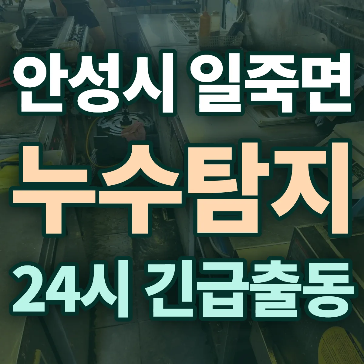 안성시 일죽면 누수탐지 출동 상담