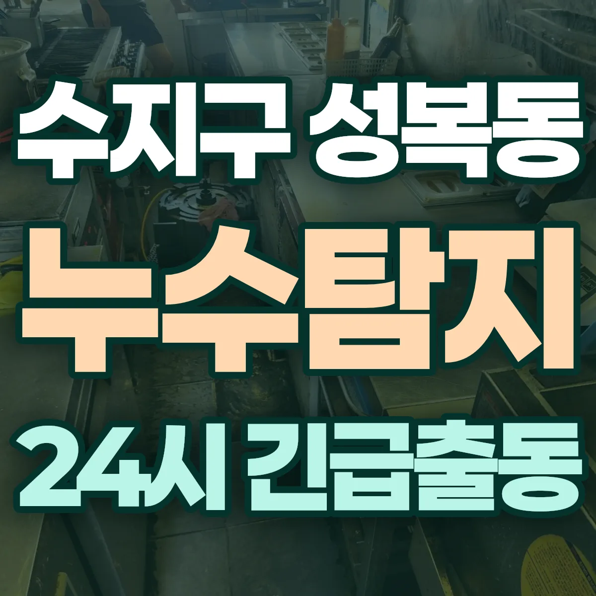 용인시 수지구 성복동 누수탐지 출동 상담
