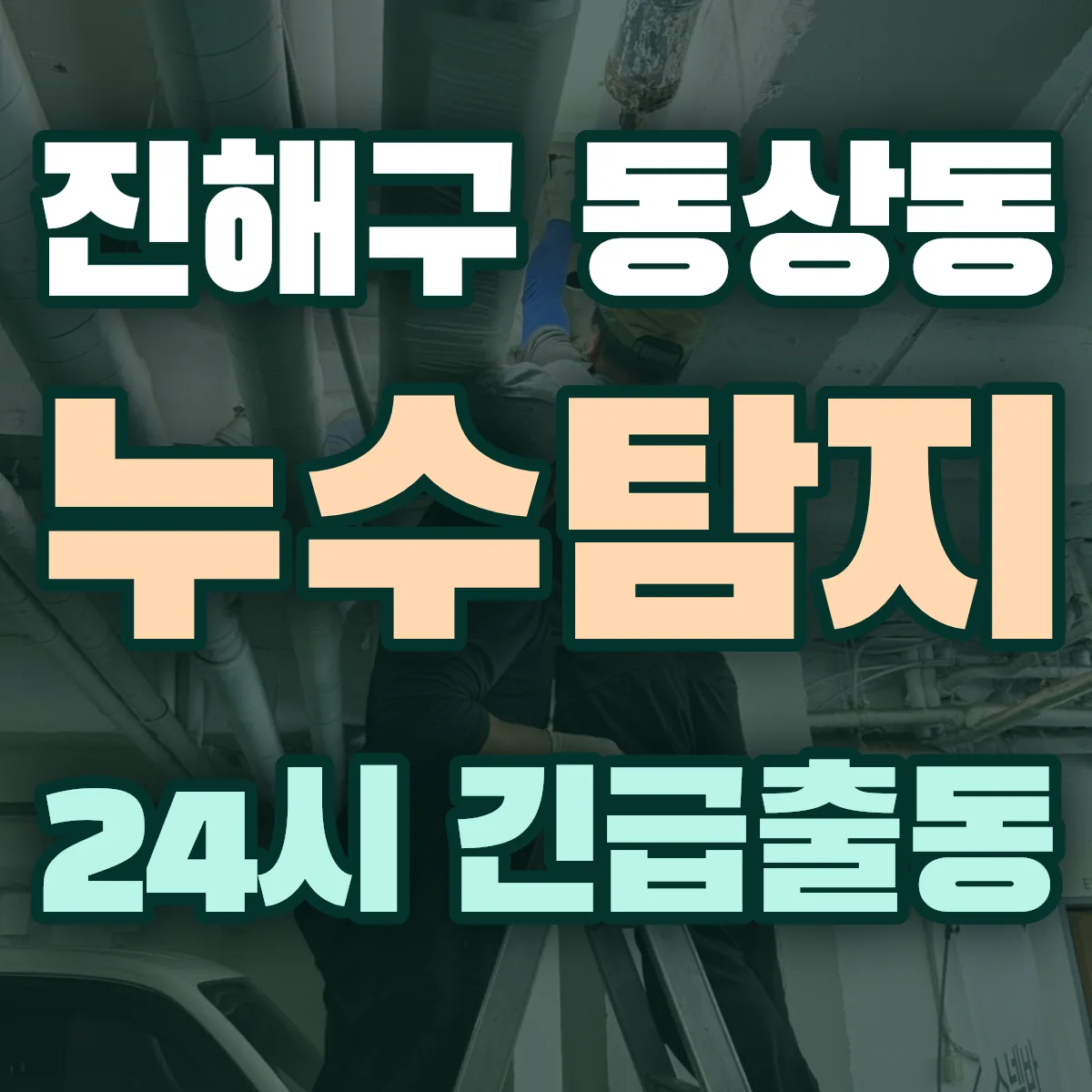 창원시 진해구 동상동 누수탐지 출동 상담