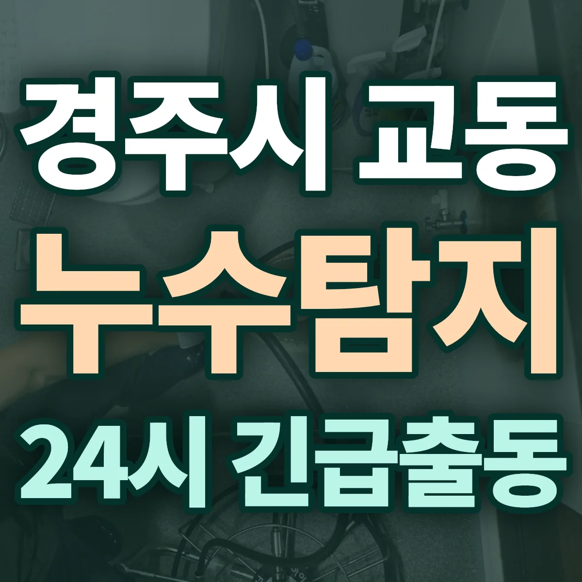 경주시 교동 누수탐지 출동 상담