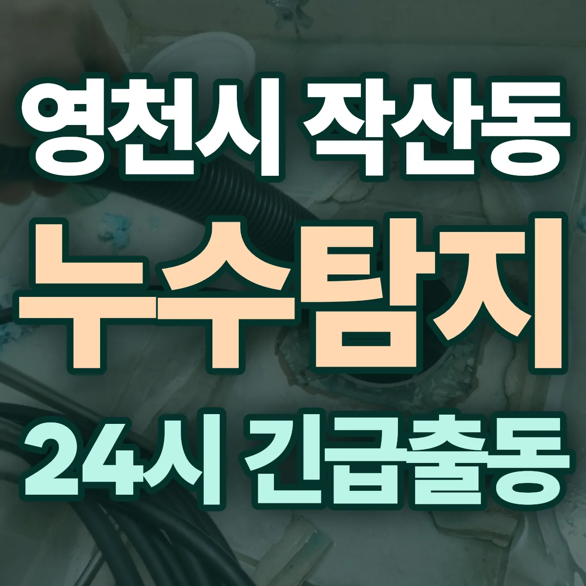 영천시 작산동 누수탐지 출동 상담