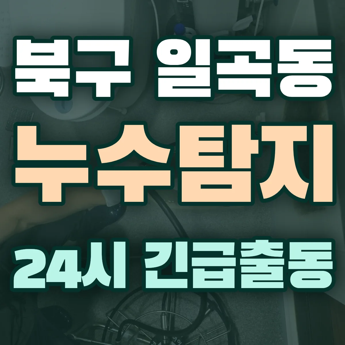 북구 일곡동 누수탐지 출동 상담