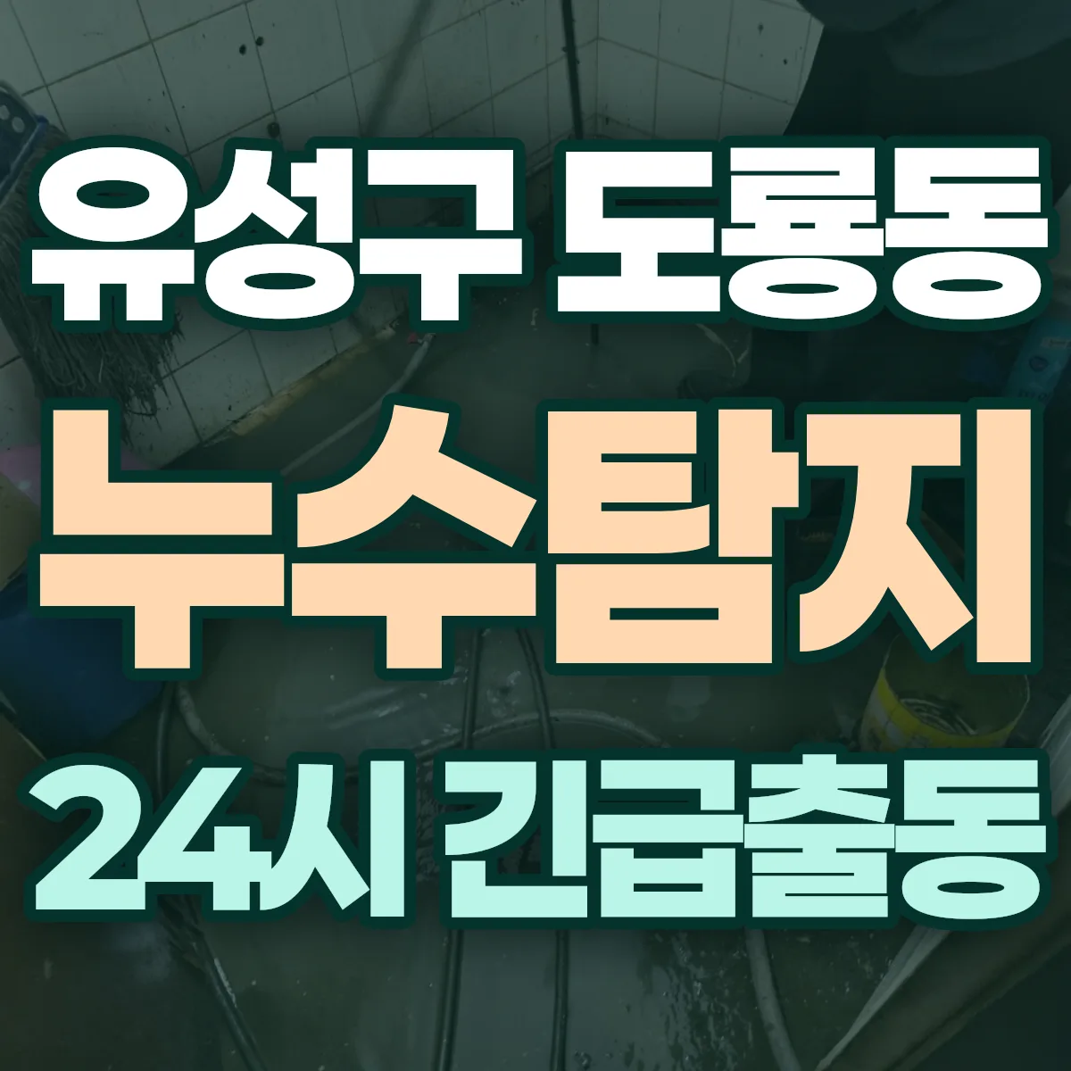 유성구 도룡동 누수탐지 출동 상담