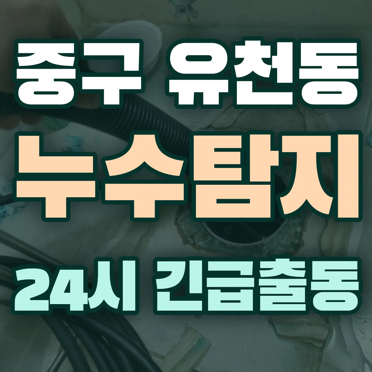 중구 유천동 누수탐지 출동 상담