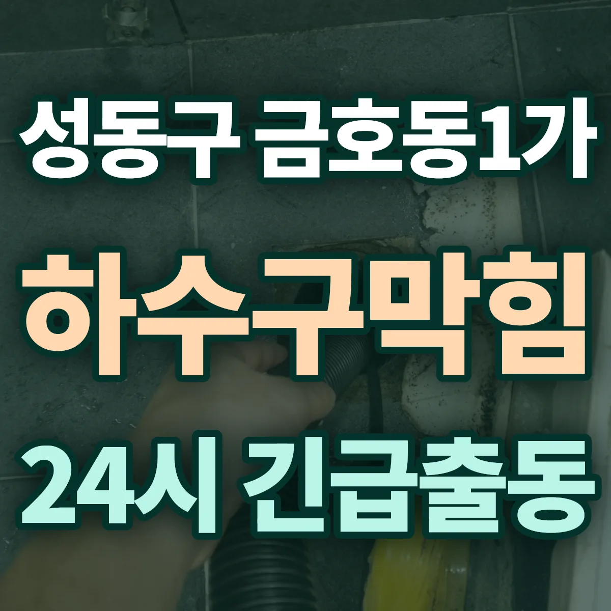 성동구 금호동1가 하수구막힘 출동 상담