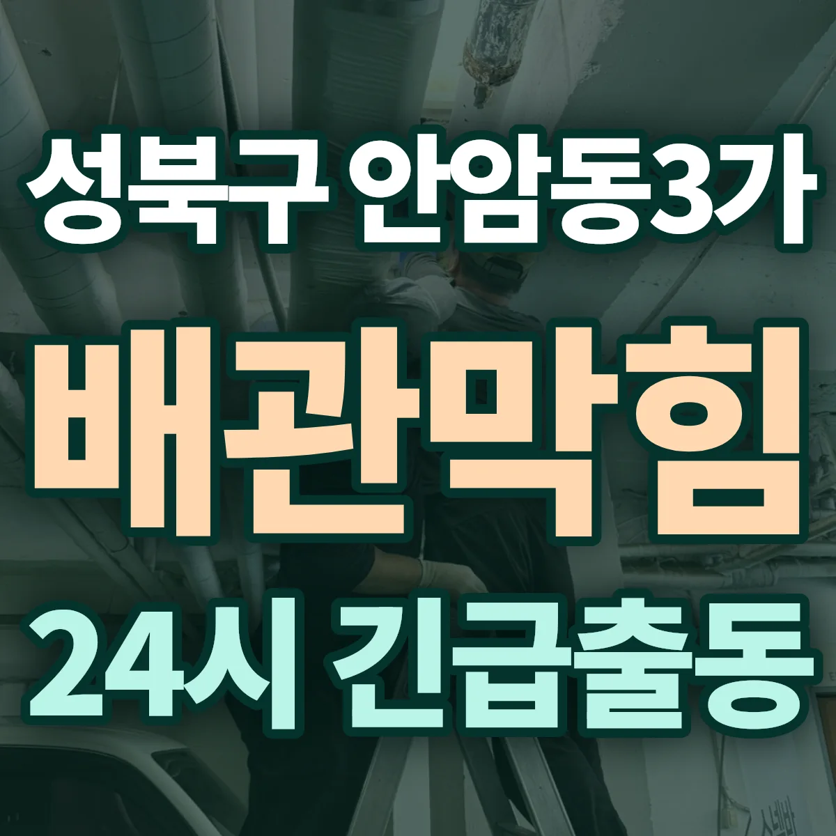 성북구 안암동3가 배관막힘 출동 상담