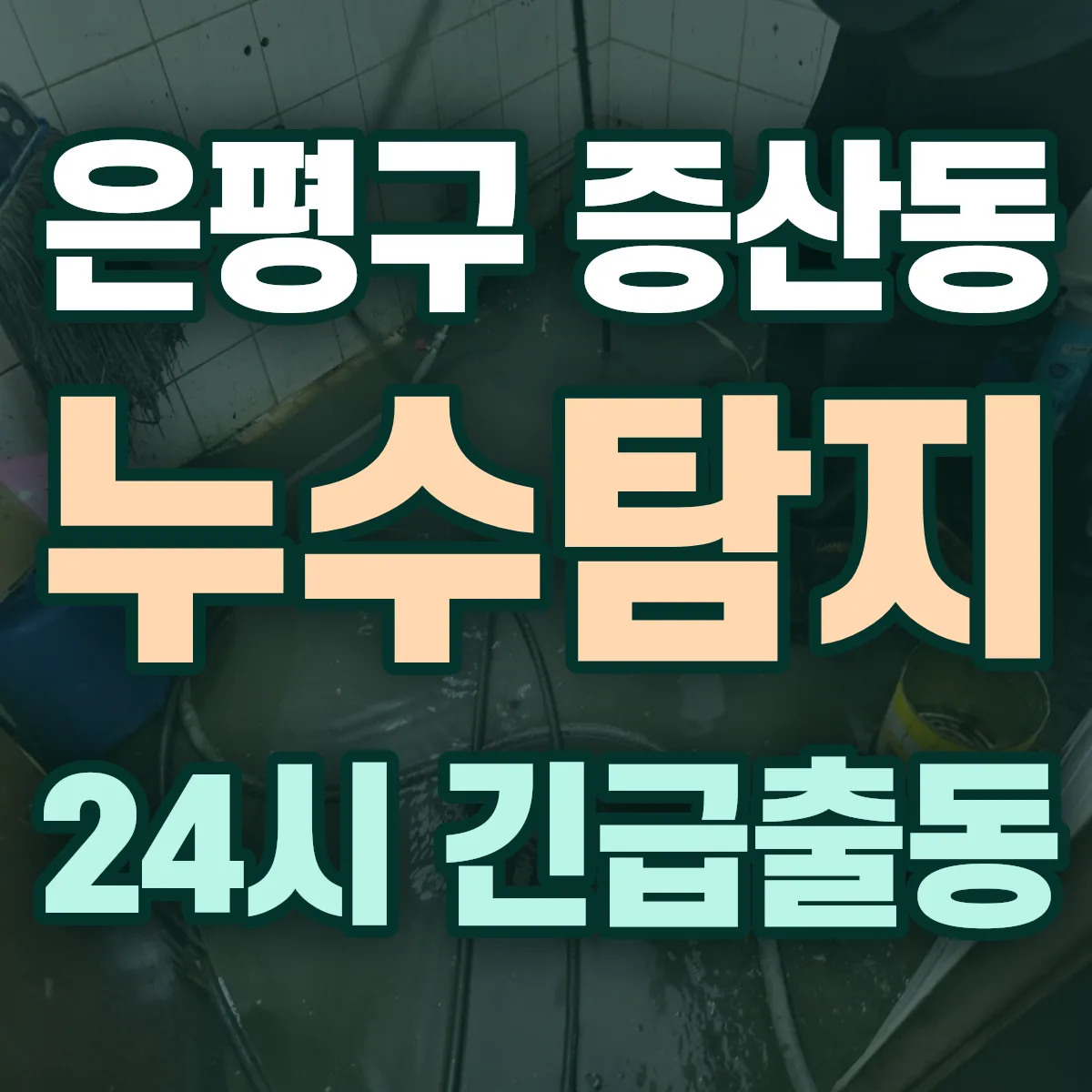 은평구 증산동 누수탐지 출동 상담