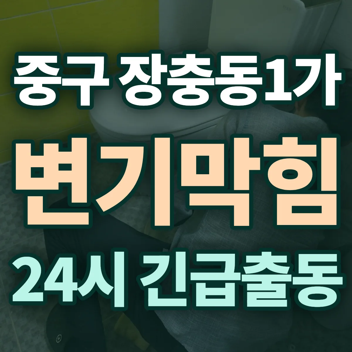 중구 장충동1가 변기막힘 출동 상담