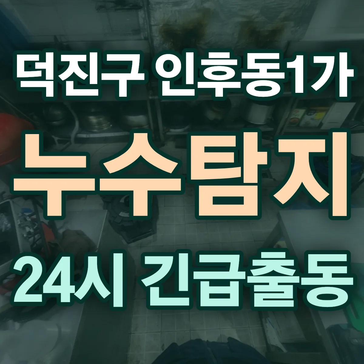 전주시 덕진구 인후동1가 누수탐지 출동 상담