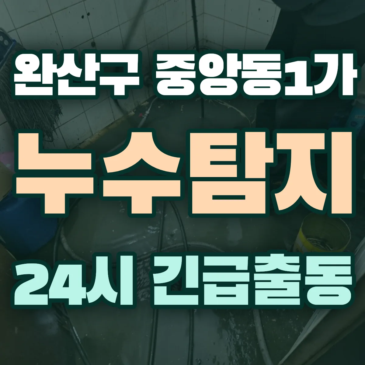 전주시 완산구 중앙동1가 누수탐지 출동 상담