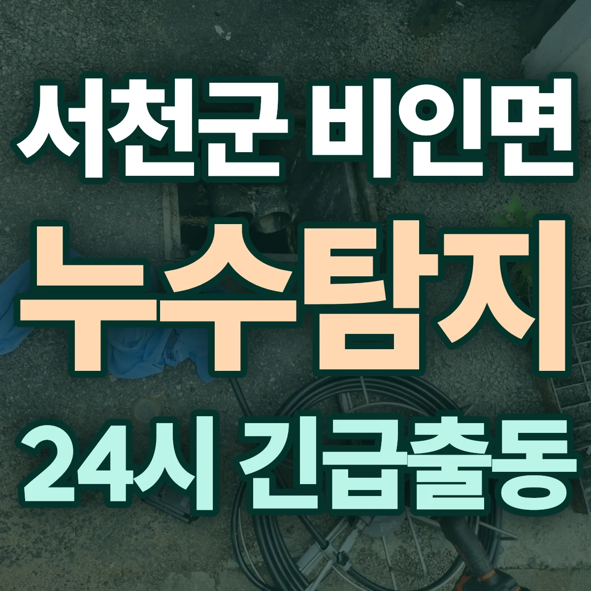 서천군 비인면 누수탐지 출동 상담