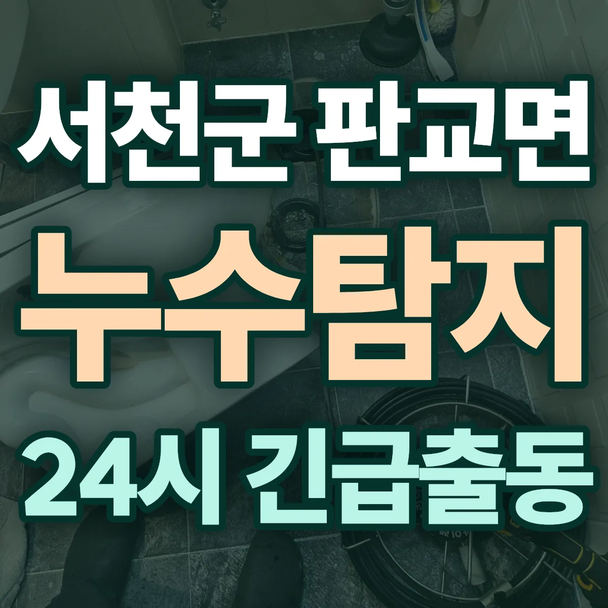 서천군 판교면 누수탐지 출동 상담