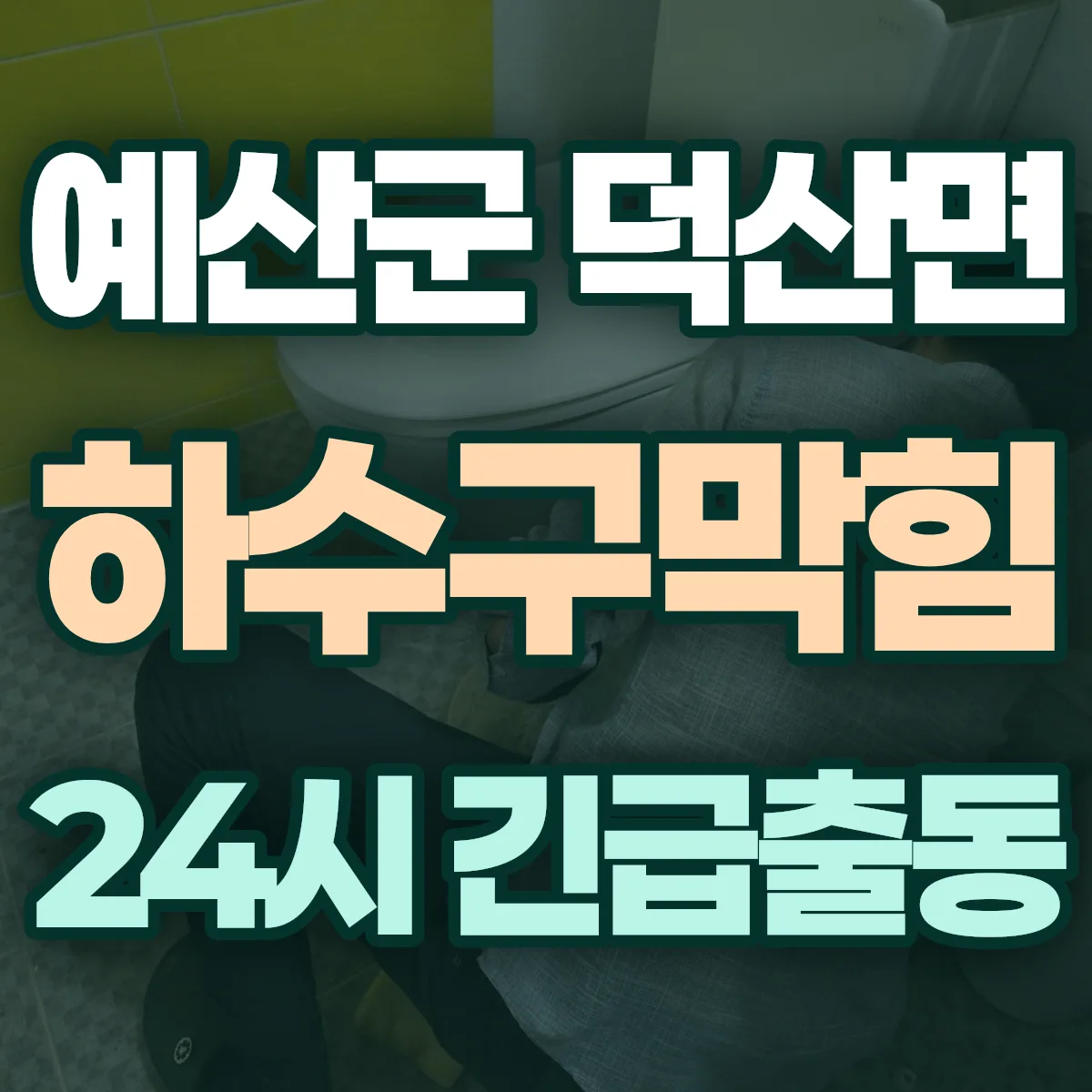 예산군 덕산면 하수구막힘 출동 상담