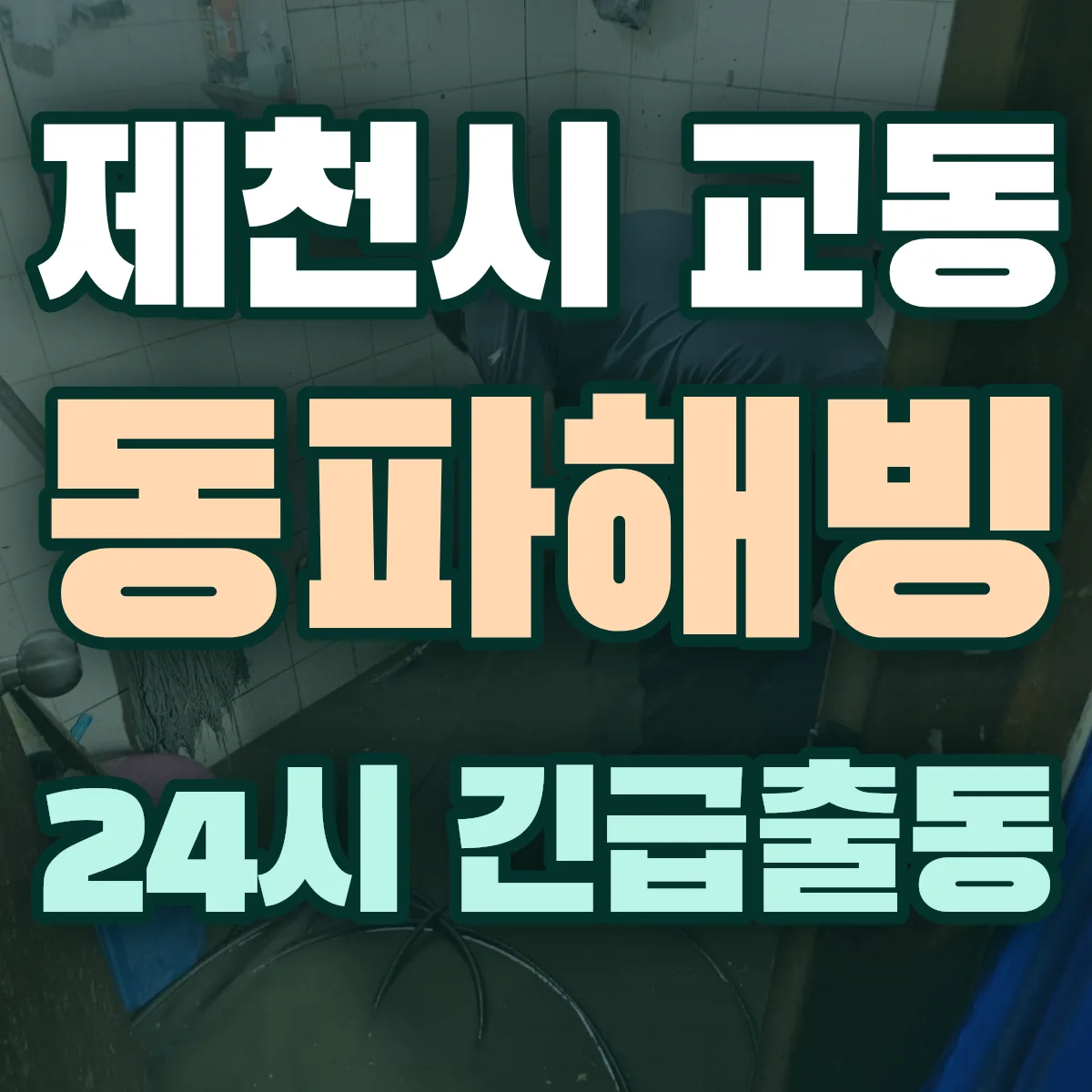 제천시 교동 동파해빙 출동 상담