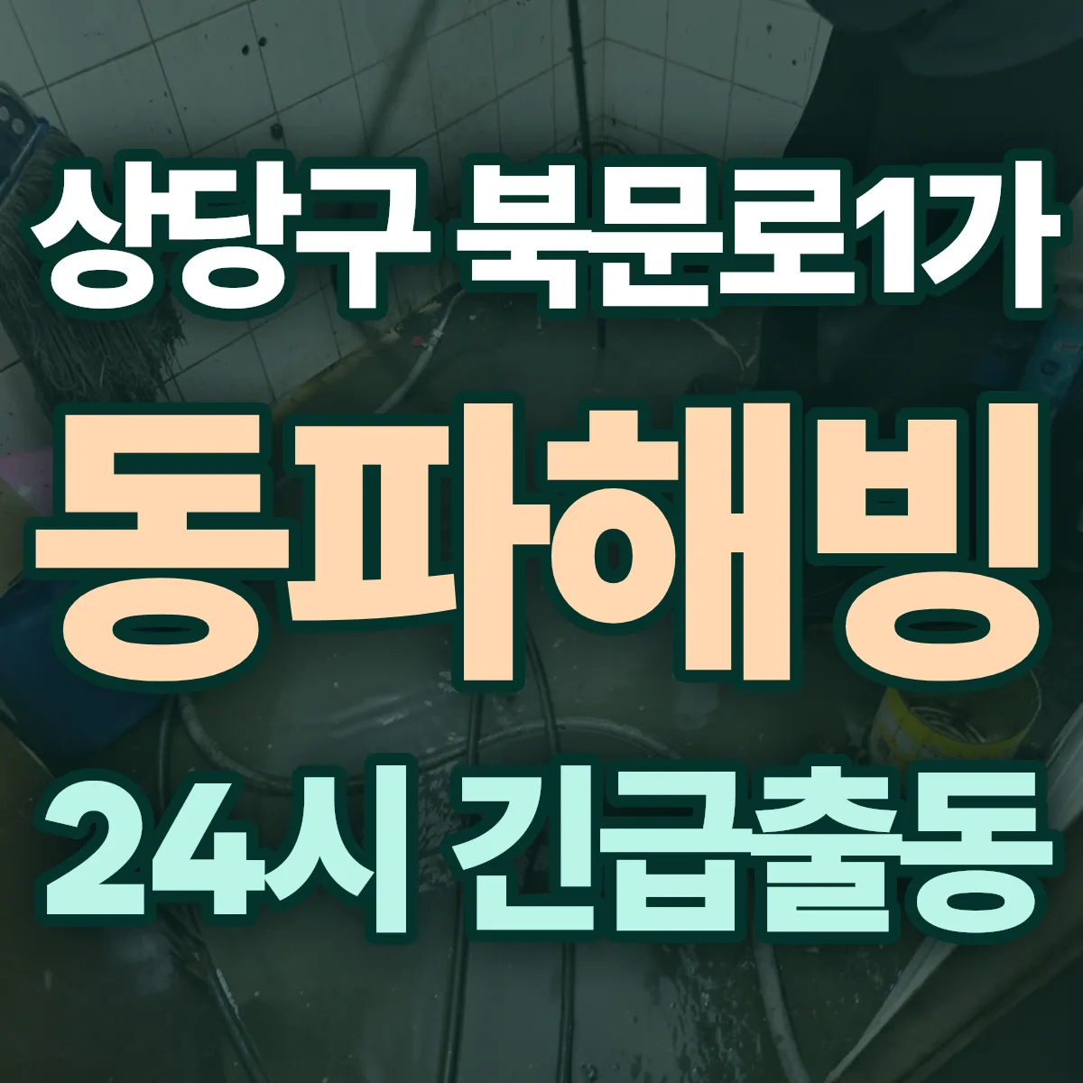 청주시 상당구 북문로1가 동파해빙 출동 상담