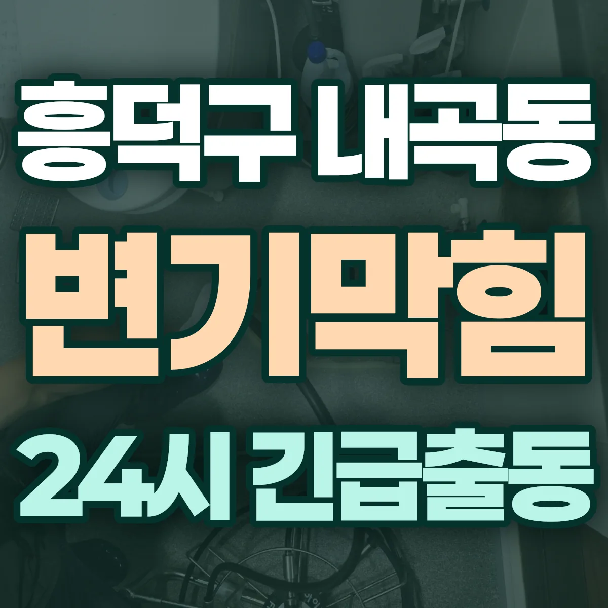 청주시 흥덕구 내곡동 변기막힘 출동 상담